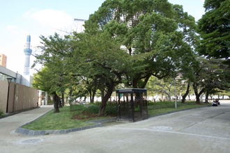 緑豊かな錦糸公園 