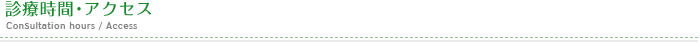 診療時間・アクセス　Consultation hours / Access